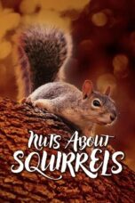 Nuts About Squirrels 2012 Subtitle Indonesia