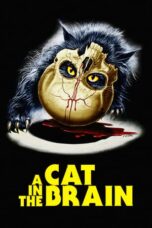 A Cat in the Brain 1990 Subtitle Indonesia