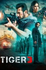 Tiger 3 2023 Subtitle Indonesia